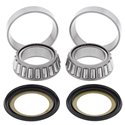 Ložiská riadenia Husqvarna SM510R 2008 - 2009 All Balls