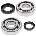 Ložiská a tesnenia kľukovky Suzuki RM250 2003 - 2004 All Balls
