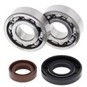 Ložiská a tesnenia kľubovky KTM SX 50 2006 - 2009 All Balls