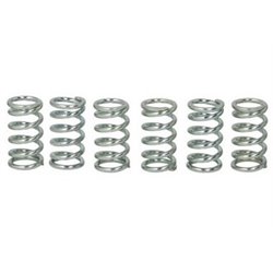 Spojkové pružiny TRW Kawasaki GPX 600 R 88-00