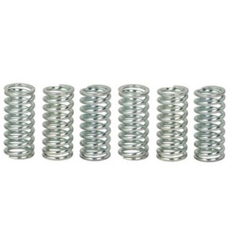 Spojkové pružiny TRW Suzuki LS 650 Savage 86-00