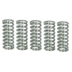 Spojkové pružiny TRW Honda CBF 600 08-13