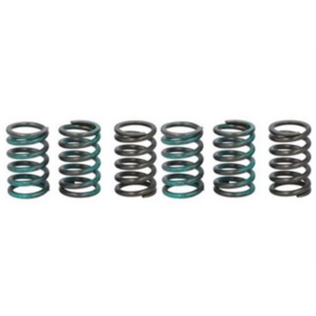 Spojkové pružiny TRW Kawasaki ZZR 1400 16-20