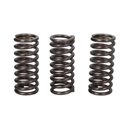Spojkové pružiny TRW Triumph 900 Street Twin 16-