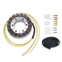 Stator alternátoru Electrosport Honda NT 650 Deauville 1998 - 2005