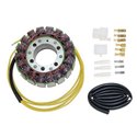 Stator alternátoru Electrosport Honda CBR 1100 XX 1997 - 1998