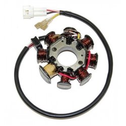 Stator alternátoru Electrosport KTM 525 XC 2008 - 2009