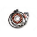 Stator alternátoru Electrosport Aprila Sportcity 125 LC 2003 - 2008