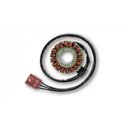 Stator alternátoru Electrosport Aprila Scarabeo 500 LC 2002 - 2004